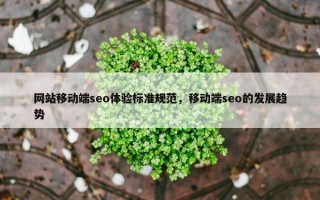 网站移动端seo体验标准规范，移动端seo的发展趋势