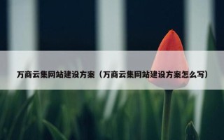 万商云集网站建设方案（万商云集网站建设方案怎么写）
