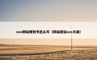 seo网站策划书怎么写（网站建设seo方案）