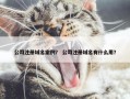 公司注册域名案例？ 公司注册域名有什么用？