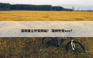 深圳建立外贸网站？ 深圳外贸seo？