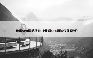 普洱seo网站优化（普洱seo网站优化设计）