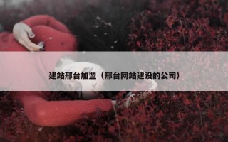 建站邢台加盟（邢台网站建设的公司）