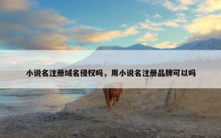 小说名注册域名侵权吗，用小说名注册品牌可以吗