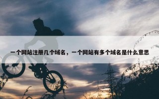 一个网站注册几个域名，一个网站有多个域名是什么意思