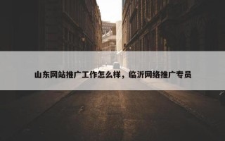 山东网站推广工作怎么样，临沂网络推广专员