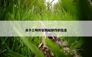 关于三明外贸网站制作的信息