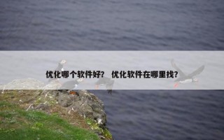 优化哪个软件好？ 优化软件在哪里找？