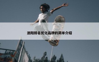 泗阳排名优化品牌的简单介绍