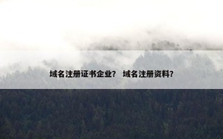 域名注册证书企业？ 域名注册资料？