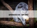 温州排名优化方式（温州 排名）