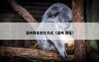 温州排名优化方式（温州 排名）