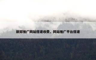 新郑推广网站搭建收费，网站推广平台搭建