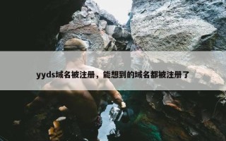 yyds域名被注册，能想到的域名都被注册了