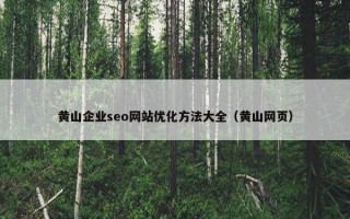 黄山企业seo网站优化方法大全（黄山网页）
