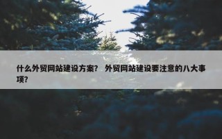什么外贸网站建设方案？ 外贸网站建设要注意的八大事项？