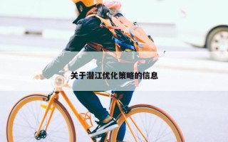 关于潜江优化策略的信息