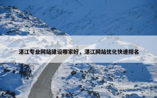 湛江专业网站建设哪家好，湛江网站优化快速排名
