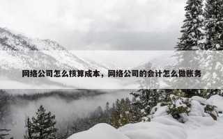 网络公司怎么核算成本，网络公司的会计怎么做账务