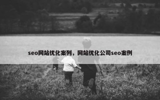 seo网站优化案列，网站优化公司seo案例