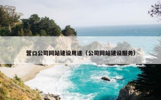 营口公司网站建设用途（公司网站建设服务）
