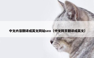 中文内容翻译成英文网站seo（中文网页翻译成英文）