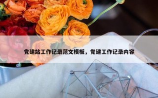 党建站工作记录范文模板，党建工作记录内容