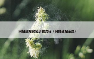 网站建站安装步骤流程（网站建站系统）