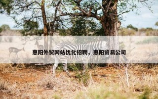 惠阳外贸网站优化招聘，惠阳贸易公司