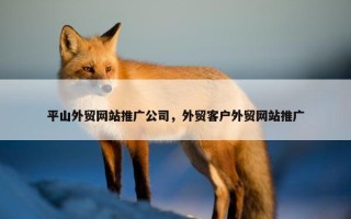 平山外贸网站推广公司，外贸客户外贸网站推广