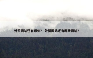 外贸网站还有哪些？ 外贸网站还有哪些网站？