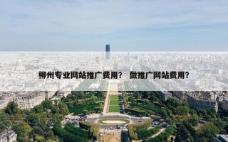 柳州专业网站推广费用？ 做推广网站费用？