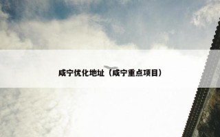 咸宁优化地址（咸宁重点项目）