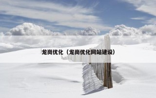 龙岗优化（龙岗优化网站建设）
