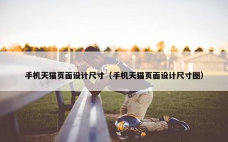 手机天猫页面设计尺寸（手机天猫页面设计尺寸图）