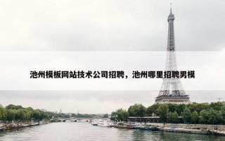 池州模板网站技术公司招聘，池州哪里招聘男模
