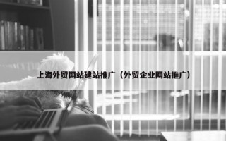 上海外贸网站建站推广（外贸企业网站推广）