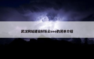 武汉网站建设好乐云seo的简单介绍