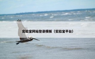 实验室网站登录模板（实验室平台）