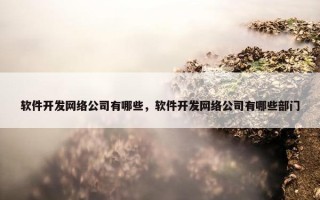 软件开发网络公司有哪些，软件开发网络公司有哪些部门