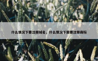 什么情况下要注册域名，什么情况下需要注册商标