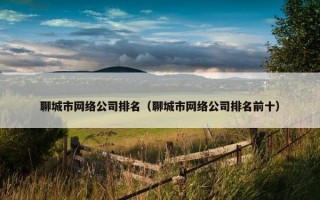 聊城市网络公司排名（聊城市网络公司排名前十）