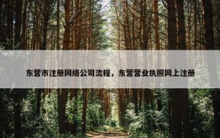 东营市注册网络公司流程，东营营业执照网上注册