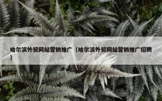 哈尔滨外贸网站营销推广（哈尔滨外贸网站营销推广招聘）