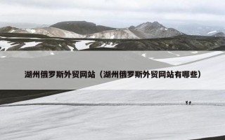 湖州俄罗斯外贸网站（湖州俄罗斯外贸网站有哪些）