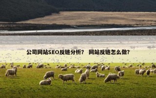 公司网站SEO反链分析？ 网站反链怎么做？