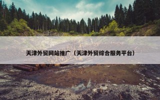 天津外贸网站推广（天津外贸综合服务平台）