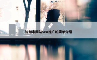 沈阳市网站seo推广的简单介绍