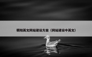 朝阳英文网站建设方案（网站建设中英文）