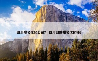 四川排名优化公司？ 四川网站排名优化师？